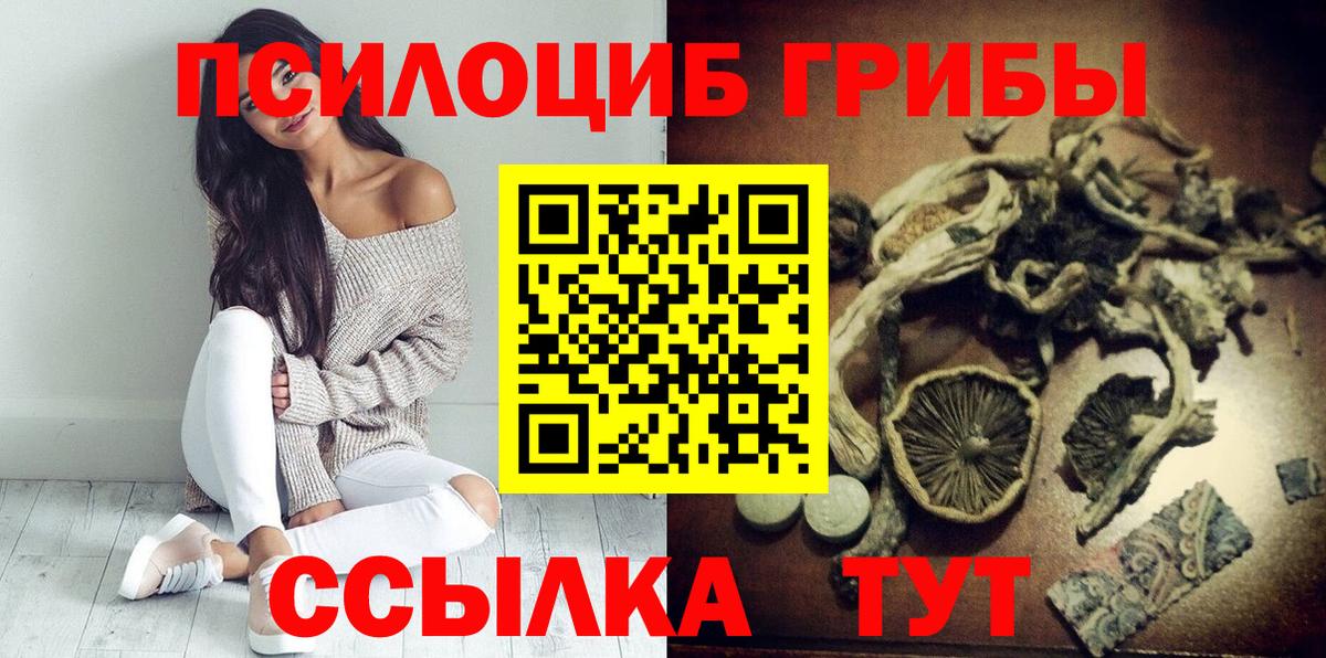 Псилоцибиновые грибы GOLDEN TEACHER Гагарин