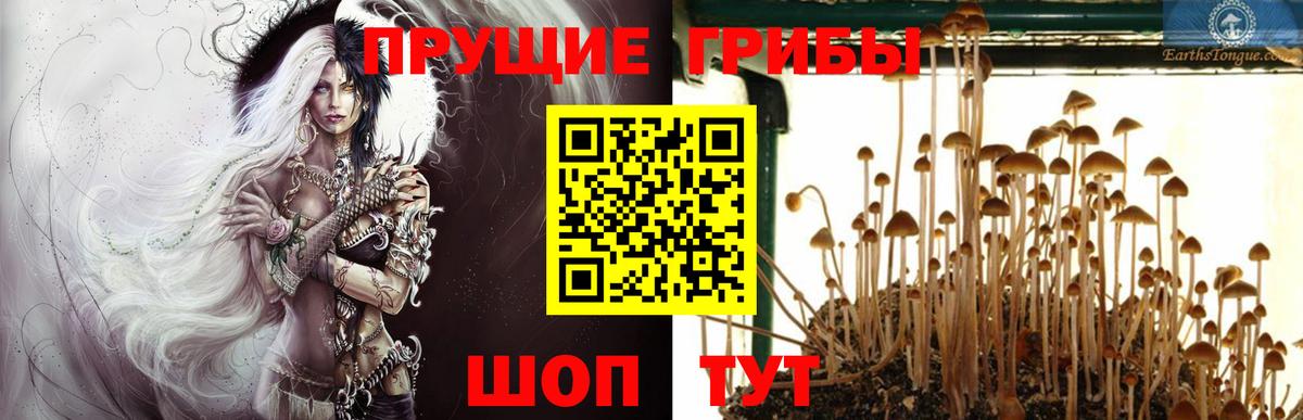 Гагарин  Галлюциногенные грибы Magic Shrooms  Вход с VPN 